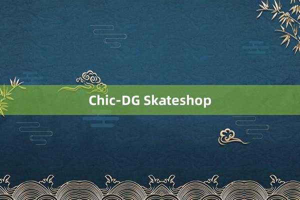 Chic-DG Skateshop