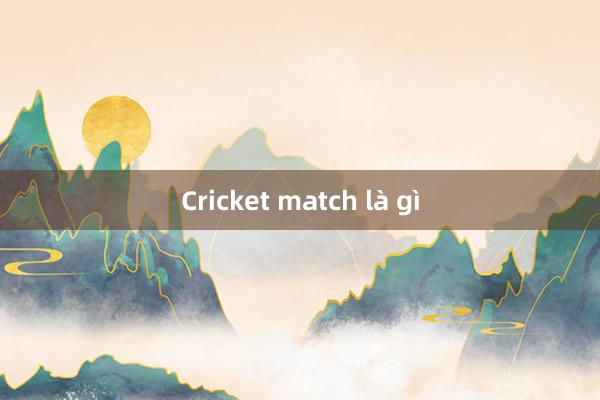 Cricket match là gì