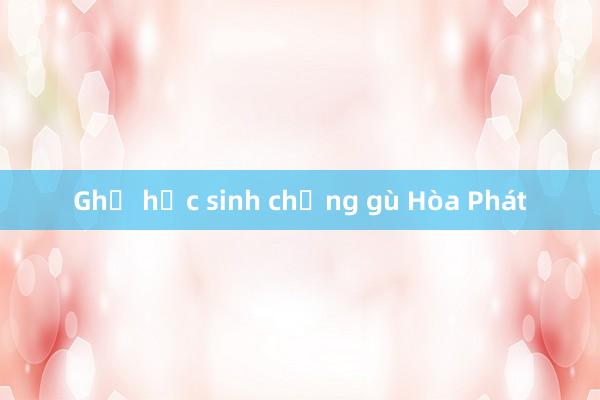 Ghế học sinh chống gù Hòa Phát