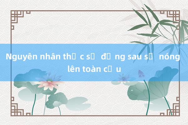 Nguyên nhân thực sự đằng sau sự nóng lên toàn cầu