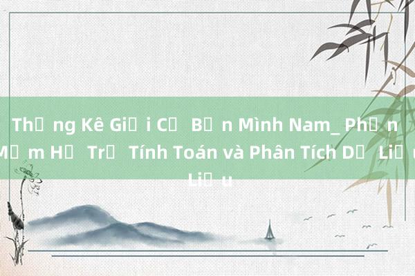 Thống Kê Giới Cơ Bản Mình Nam_ Phần Mềm Hỗ Trợ Tính Toán và Phân Tích Dữ Liệu