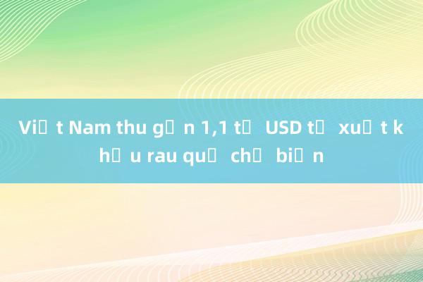 Việt Nam thu gần 1，1 tỷ USD từ xuất khẩu rau quả chế biến