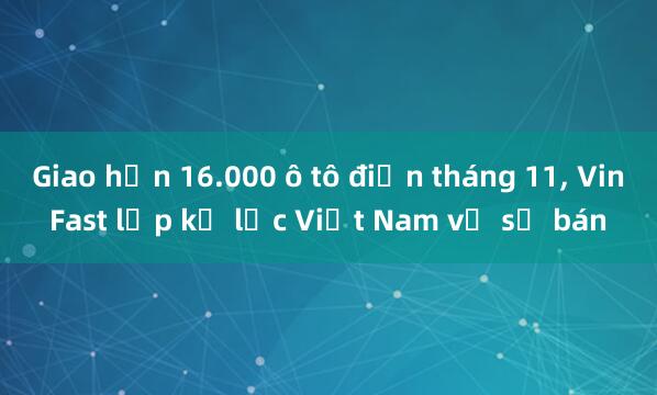 Giao hơn 16.000 ô tô điện tháng 11， VinFast lập kỷ lục Việt Nam về số bán