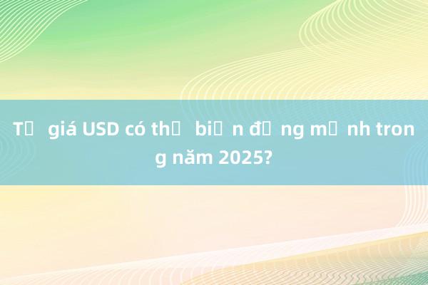 Tỷ giá USD có thể biến động mạnh trong năm 2025?