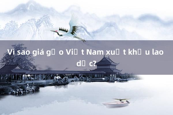 Vì sao giá gạo Việt Nam xuất khẩu lao dốc?