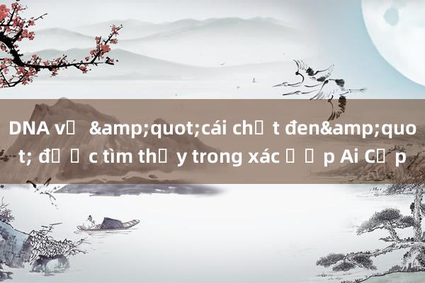 DNA về &quot;cái chết đen&quot; được tìm thấy trong xác ướp Ai Cập